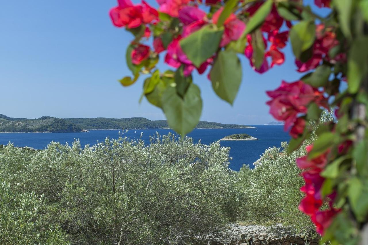 Vila Stone House San Pelegrin Vela Luka Exteriér fotografie